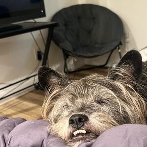 Meet your Posher, Madilyn